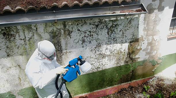 Trusted Mold Testing service in Fairfield, PA - Cheap Mold Removal